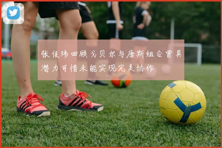 张佳玮回顾戈贝尔与唐斯组合曾具潜力可惜未能实现完美协作