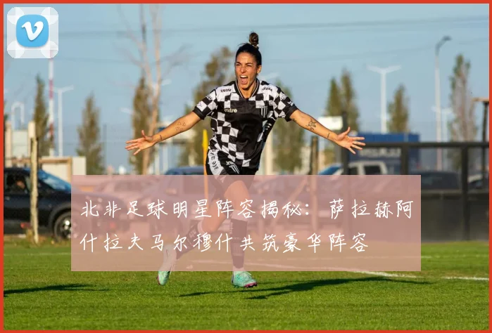 北非足球明星阵容揭秘：萨拉赫阿什拉夫马尔穆什共筑豪华阵容