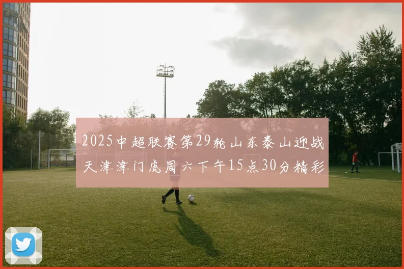2025中超联赛第29轮山东泰山迎战天津津门虎周六下午15点30分精彩开战